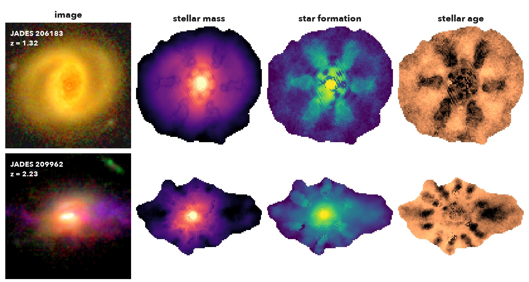 Images and resolved stellar-mass, star-formation and stellar-age maps of JADES 206183 at z = 1.32 and JADES 209962 at z = 2.23